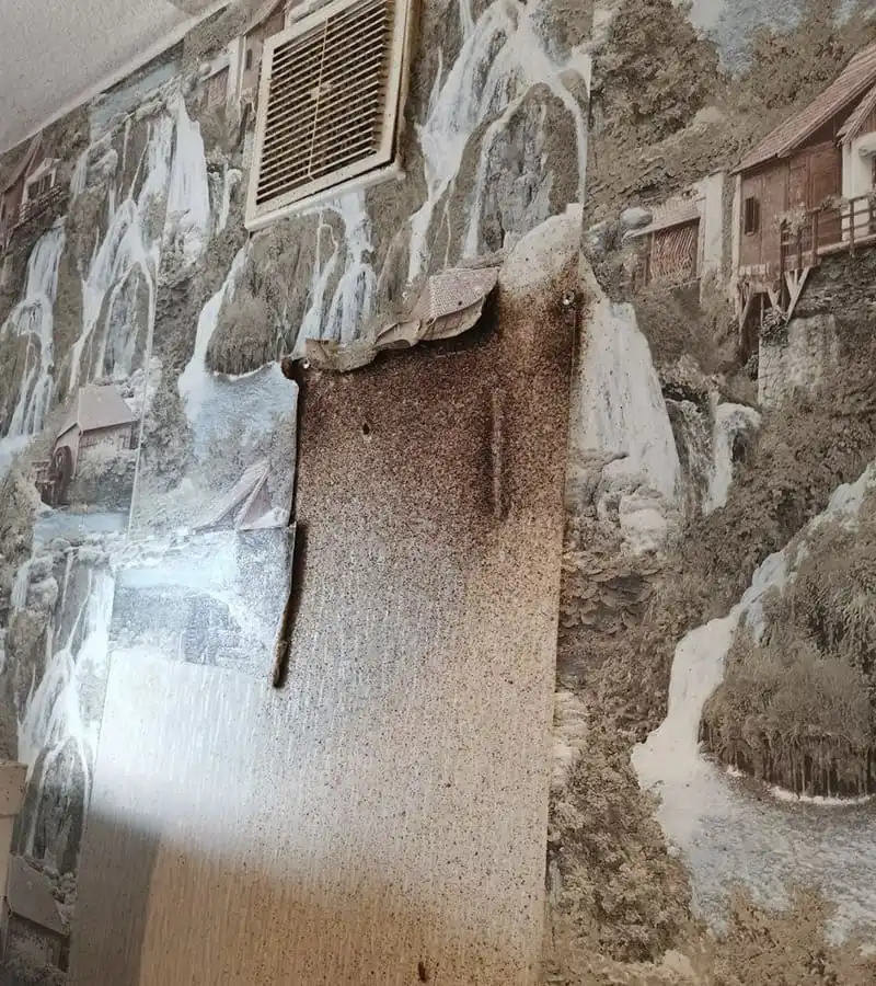 Уничтожение клопов и тараканов. г. Химки, ул. Совхозная