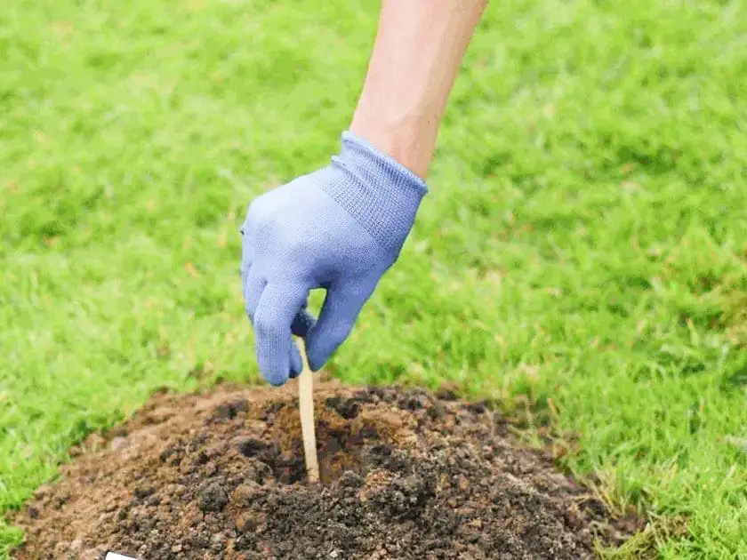 Защитить дачный участок от кротов